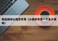 微信商城小程序开发（小程序开发一个多少钱啊）