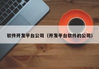 软件开发平台公司（开发平台软件的公司）