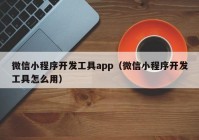 微信小程序开发工具app（微信小程序开发工具怎么用）