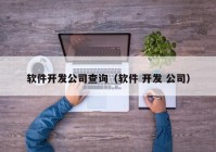 软件开发公司查询（软件 开发 公司）