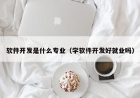 软件开发是什么专业（学软件开发好就业吗）